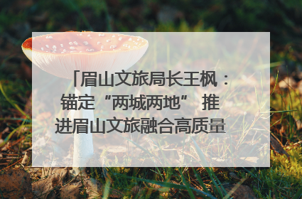 眉山文旅局长王枫：锚定“两城两地” 推进眉山文旅融合高质量发展｜文旅局长说