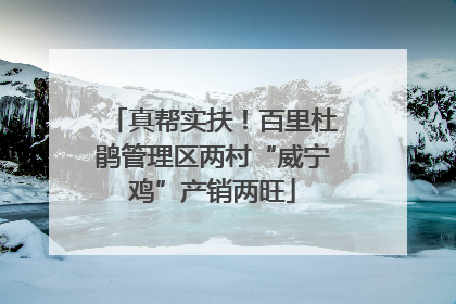 真帮实扶！百里杜鹃管理区两村“威宁鸡”产销两旺