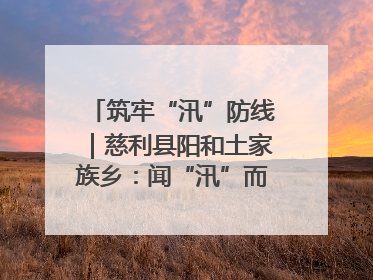 筑牢“汛”防线｜慈利县阳和土家族乡：闻“汛”而动 全员下沉筑牢防汛“安全堤”