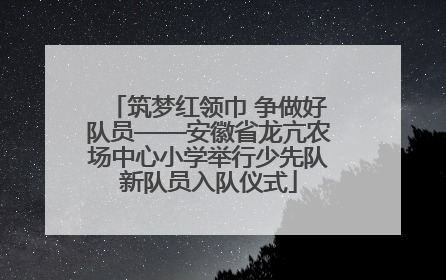 筑梦红领巾 争做好队员——安徽省龙亢农场中心小学举行少先队新队员入队仪式