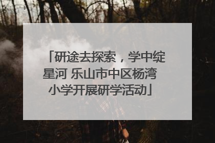 研途去探索，学中绽星河 乐山市中区杨湾小学开展研学活动