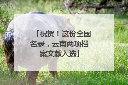 祝贺！这份全国名录，云南两项档案文献入选