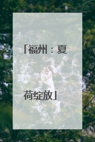 福州：夏荷绽放