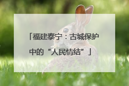 福建泰宁：古城保护中的“人民情结”