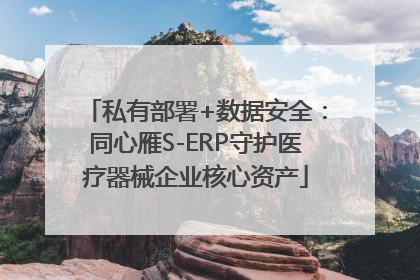 私有部署+数据安全：同心雁S-ERP守护医疗器械企业核心资产