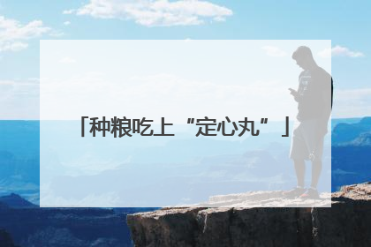 种粮吃上“定心丸”