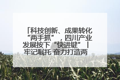 科技创新、成果转化“两手抓”，四川产业发展按下“快进键”丨牢记嘱托 奋力打造两高地两基地一屏障