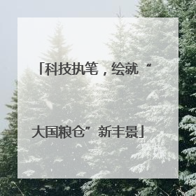 科技执笔，绘就“大国粮仓”新丰景
