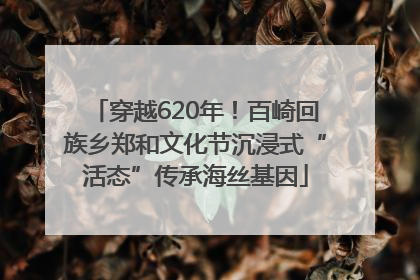 穿越620年！百崎回族乡郑和文化节沉浸式“活态”传承海丝基因
