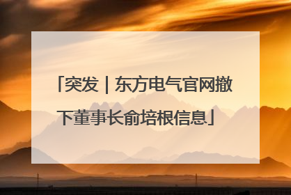 突发｜东方电气官网撤下董事长俞培根信息