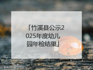 竹溪县公示2025年度幼儿园年检结果