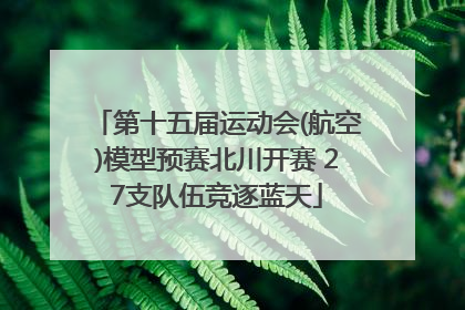 第十五届运动会(航空)模型预赛北川开赛 27支队伍竞逐蓝天