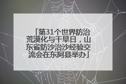 第31个世界防治荒漠化与干旱日，山东省防沙治沙经验交流会在东阿县举办