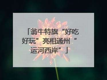 翁牛特旗“好吃好玩”亮相通州“运河西岸”