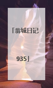 翁城日记 935