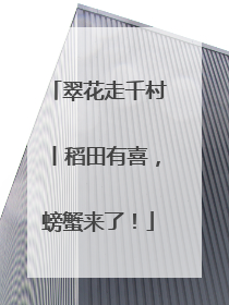 翠花走千村丨稻田有喜，螃蟹来了！