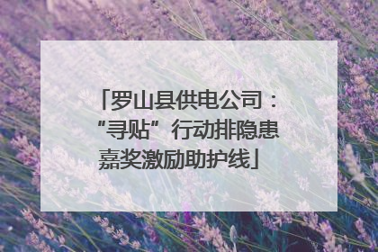 罗山县供电公司：“寻贴”行动排隐患 嘉奖激励助护线
