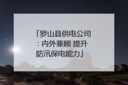 罗山县供电公司：内外兼顾 提升防汛保电能力