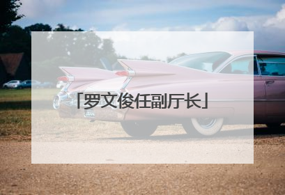 罗文俊任副厅长
