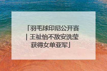 羽毛球印尼公开赛｜王祉怡不敌安洗莹 获得女单亚军