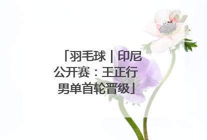 羽毛球｜印尼公开赛：王正行男单首轮晋级
