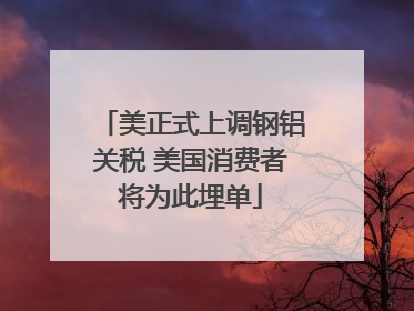美正式上调钢铝关税 美国消费者将为此埋单