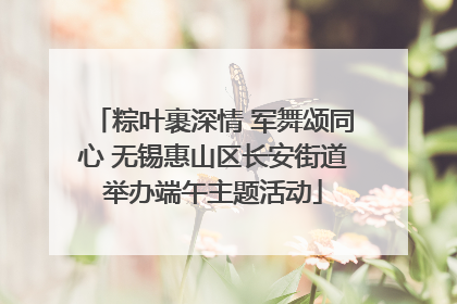 粽叶裹深情 军舞颂同心 无锡惠山区长安街道举办端午主题活动