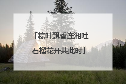 粽叶飘香连湘吐 石榴花开共此时