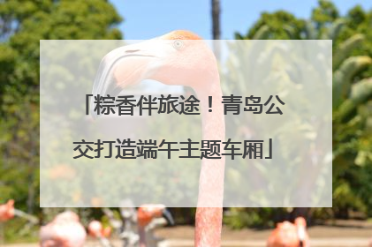 粽香伴旅途！青岛公交打造端午主题车厢