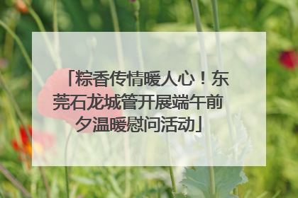 粽香传情暖人心！东莞石龙城管开展端午前夕温暖慰问活动