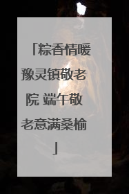 粽香情暖豫灵镇敬老院 端午敬老意满桑榆