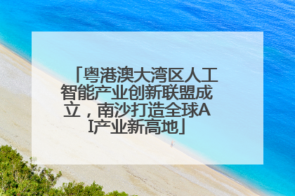 粤港澳大湾区人工智能产业创新联盟成立，南沙打造全球AI产业新高地