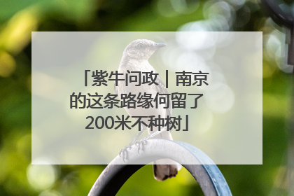 紫牛问政｜南京的这条路缘何留了200米不种树
