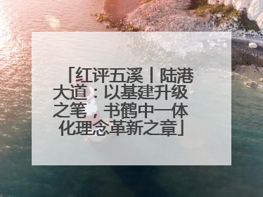 红评五溪丨陆港大道：以基建升级之笔，书鹤中一体化理念革新之章