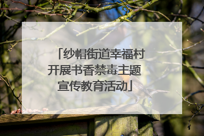 纱帽街道幸福村开展书香禁毒主题宣传教育活动