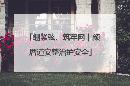 绷紧弦、筑牢网｜颜厝道安整治护安全