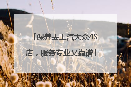 保养去上汽大众4S店，服务专业又靠谱