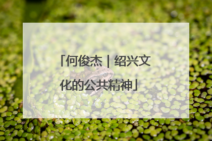 何俊杰｜绍兴文化的公共精神