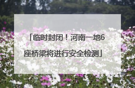 临时封闭！河南一地6座桥梁将进行安全检测