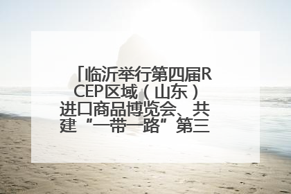 临沂举行第四届RCEP区域（山东）进口商品博览会、共建“一带一路”第三届临沂商城国际采购商大会新闻发布会