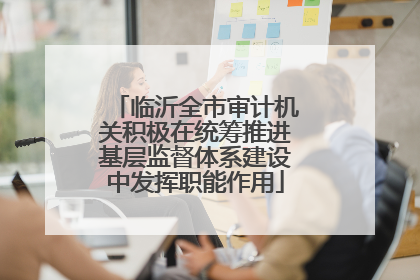临沂全市审计机关积极在统筹推进基层监督体系建设中发挥职能作用