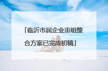 临沂市属企业重组整合方案已完成初稿