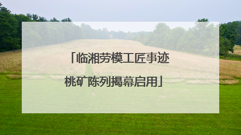 临湘劳模工匠事迹桃矿陈列揭幕启用