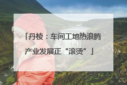 丹棱：车间工地热浪腾产业发展正“滚烫”