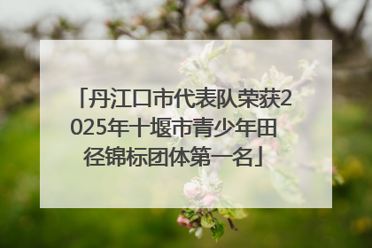 丹江口市代表队荣获2025年十堰市青少年田径锦标团体第一名