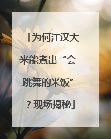 为何江汉大米能煮出“会跳舞的米饭”？现场揭秘