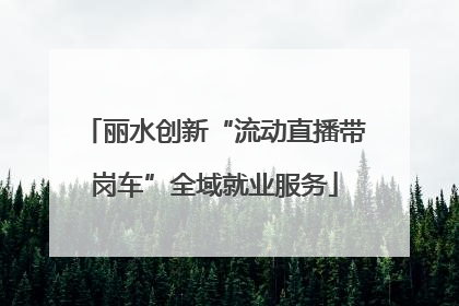 丽水创新“流动直播带岗车”全域就业服务