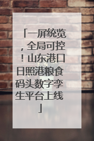 一屏统览，全局可控！山东港口日照港粮食码头数字孪生平台上线