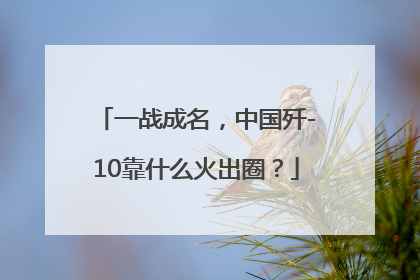 一战成名，中国歼-10靠什么火出圈？