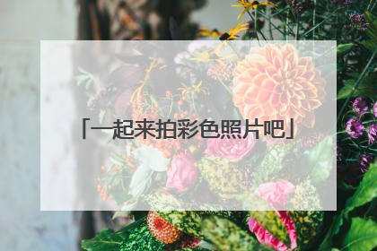 一起来拍彩色照片吧